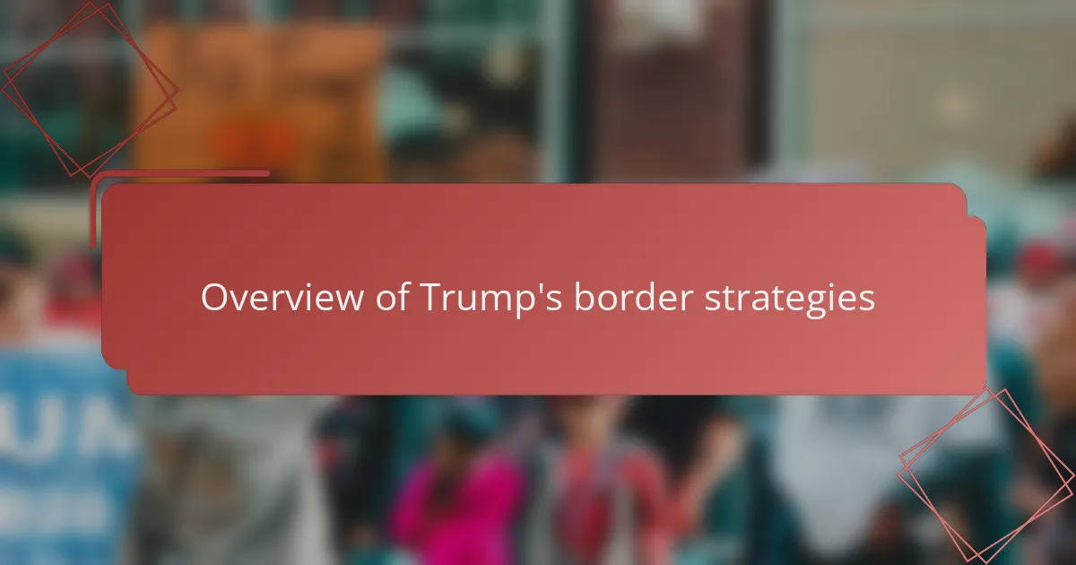 Overview of Trump's border strategies